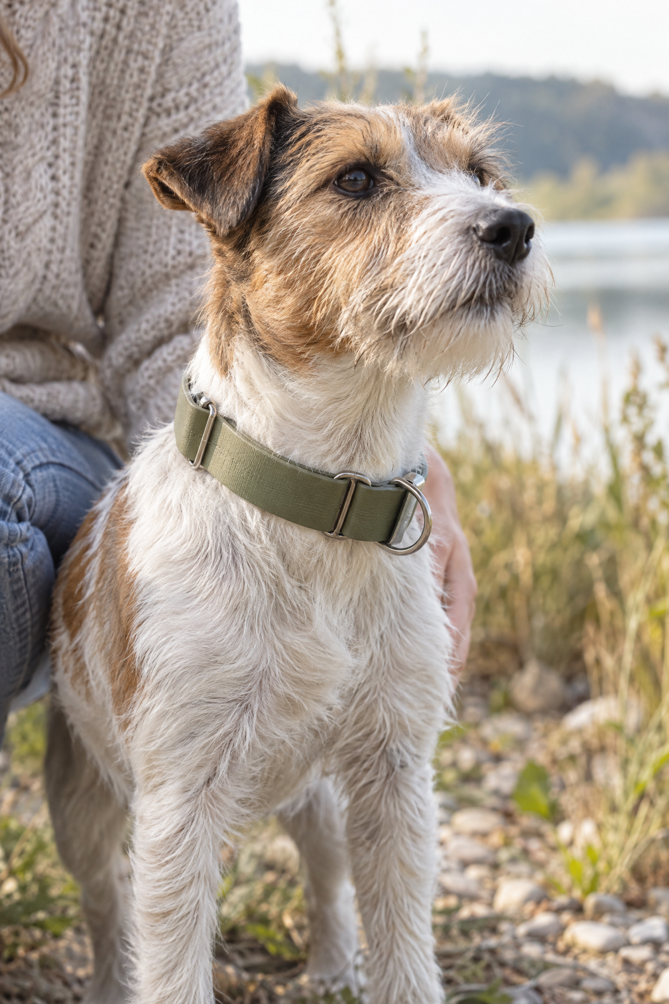 Schmuddelhund Zugstopp-Halsband Gin aus BioThane, 2 oder 2,5 cm breit