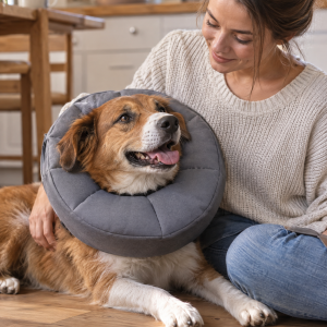 Vetlando Leckschutzkragen für Hunde und Katzen, XS bis XL, Anwendungsbild