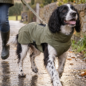 The Dog Idea Hunderegenmantel Kayden – Khaki, Anwendungsbild