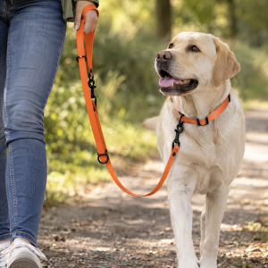 The Dog Idea BioThane-Führleine Orange, dreifach verstellbar, Anwendungsbild