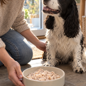 Pures Muskelfleisch vom Huhn – Einzelfuttermittel für Hunde, Katzen und Frettchen, Anwendungsbild