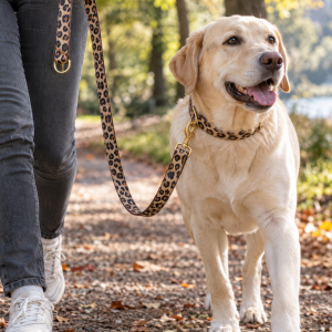 Prunkhund Leine Wild Life im Leo-Muster, 120 oder 200 cm, Anwendungsbild