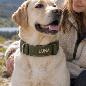 Stake-Out Extrem Gürtelhalsband 50 mm, bestickt, für große Hunde, Anwendungsbild