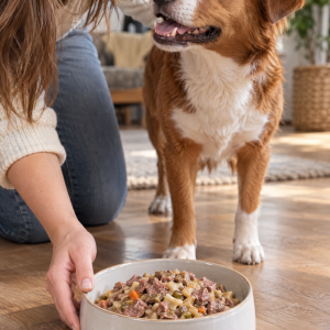 KALE Wildmenü, Rind und Wild in der Dose, Ergänzungsfutter für Hunde, 200 g, Anwendungsbild