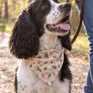 Schmuddelhund Halstuch Acorn, Anwendungsbild