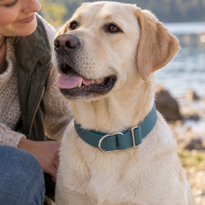 Schmuddelhund Zugstopp-Halsband Aoi aus BioThane, 2 oder 2,5 cm breit, Anwendungsbild