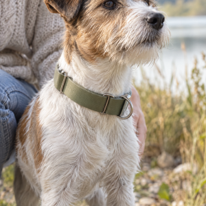 Schmuddelhund Zugstopp-Halsband Gin aus BioThane, 2 oder 2,5 cm breit, Anwendungsbild