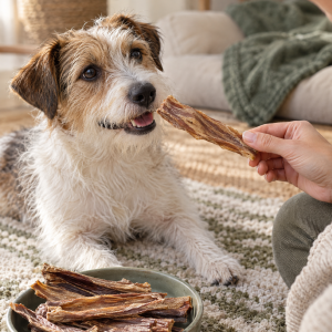 Naturavetal Canis Plus Rinder-Dörrfleisch, luftgetrocknet, 500 g, Anwendungsbild