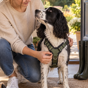Rudelkönig Hundegeschirr Bella – Y-Geschirr mit Neopren-Polsterung, Anwendungsbild