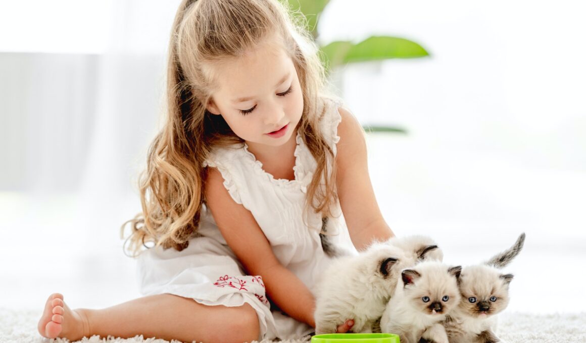 Girl with ragdoll kittens