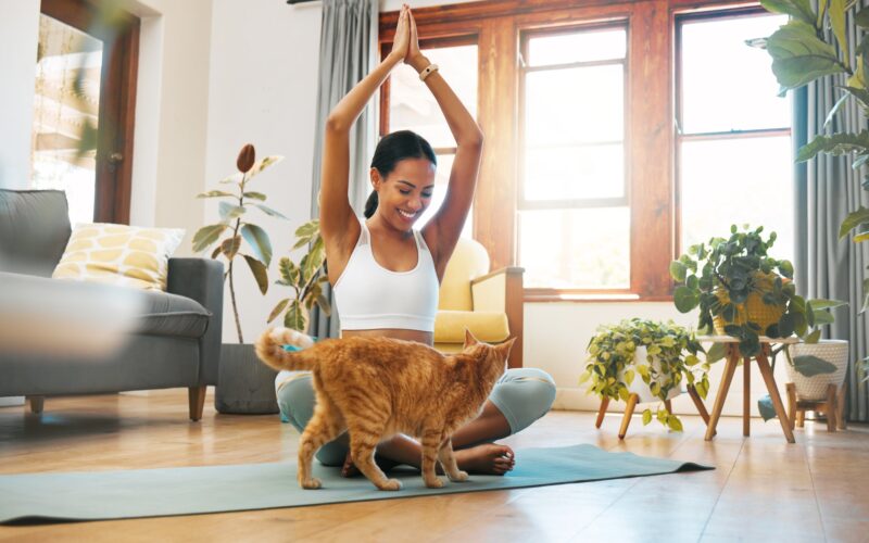 Shot of a sporty young woman meditating at home with her pet cat
